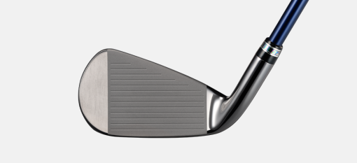 Alternative view of MAJESTY　Royale IRON