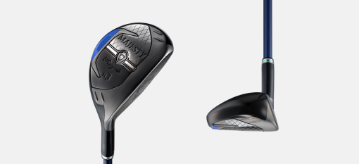 Alternative view of MAJESTY　Royale HYBRID