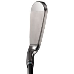Alternative view of MAJESTY　PRESTIGIO 13 BLACK IRON